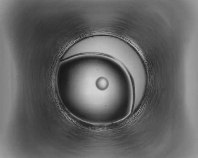 X0000116430385200912151022
