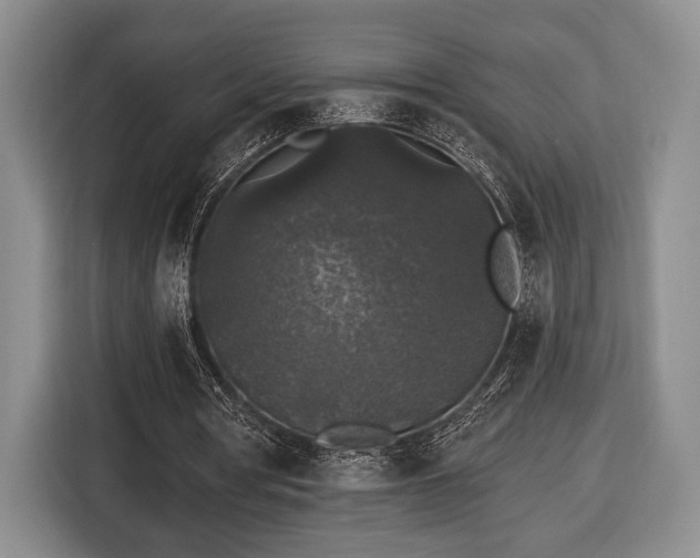 X0000116430386200912151022