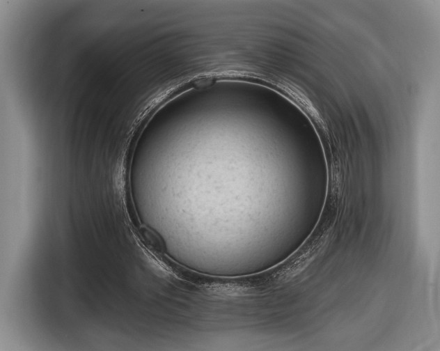 X0000116430389200912151022