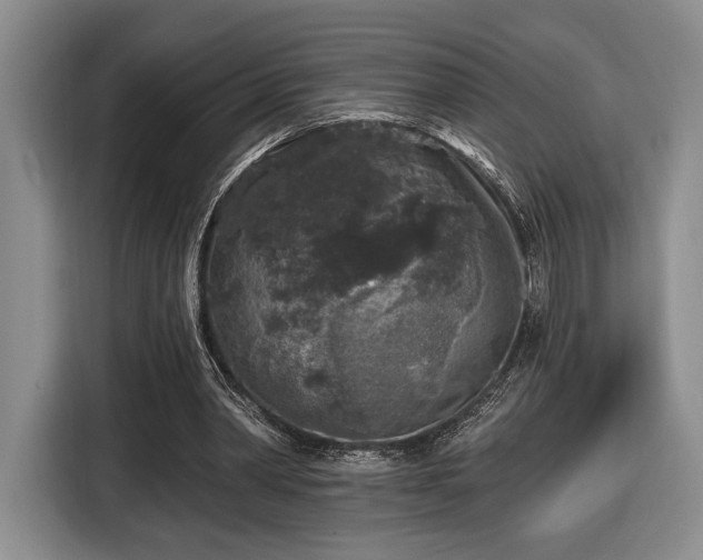 X0000116430390200912151022