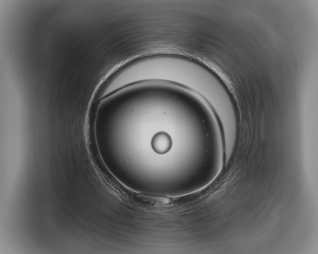X0000116430391200912151022