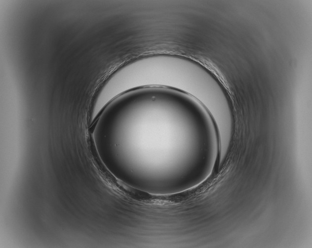 X0000116430393200912151022