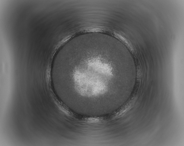X0000116430394200912151022