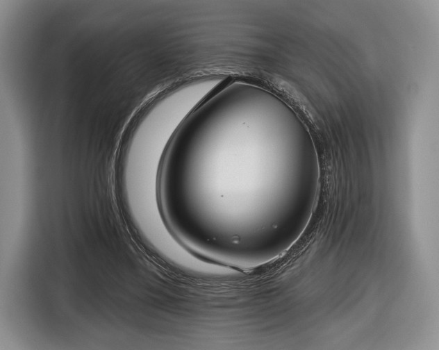 X0000116430395200912151022