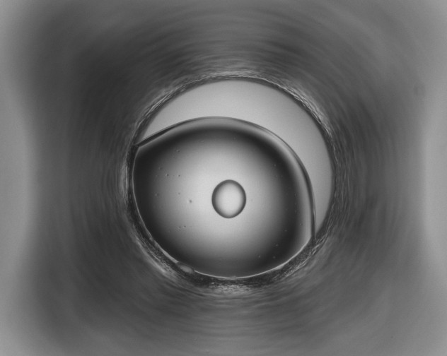 X0000116430397200912151022