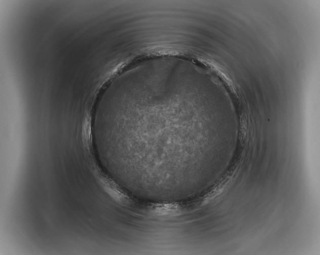 X0000116430398200912151022