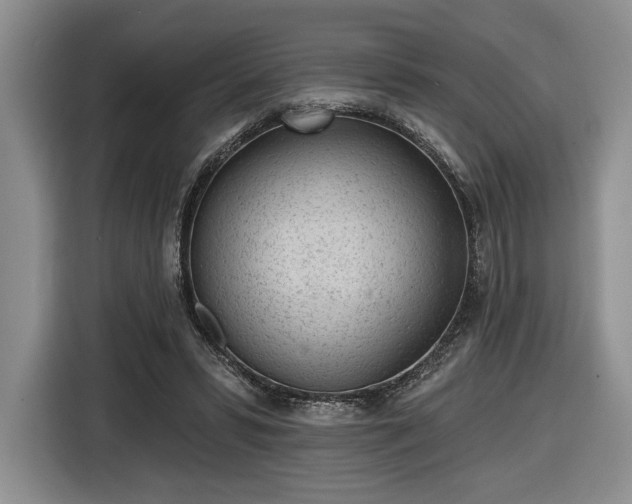 X0000116430399200912151022