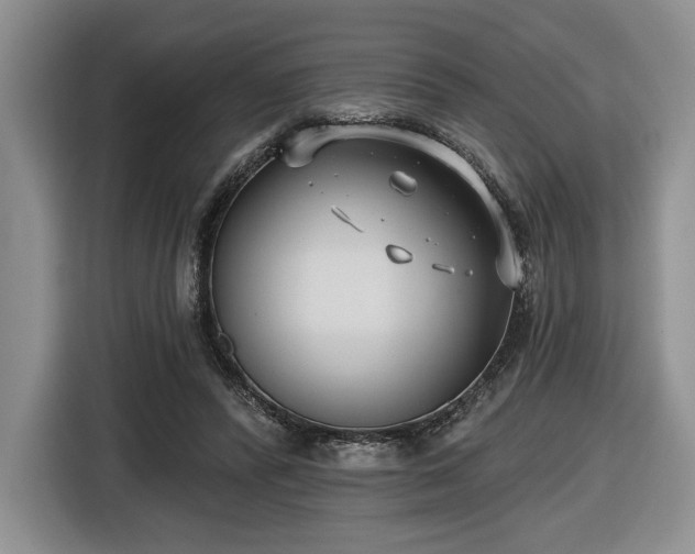 X0000116430400200912151022