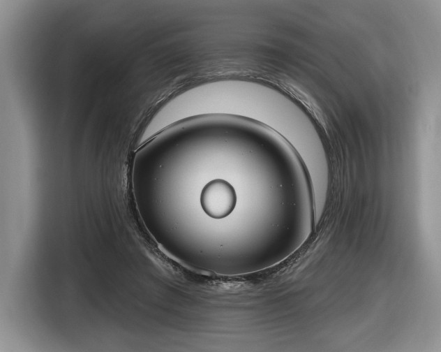 X0000116430401200912151022