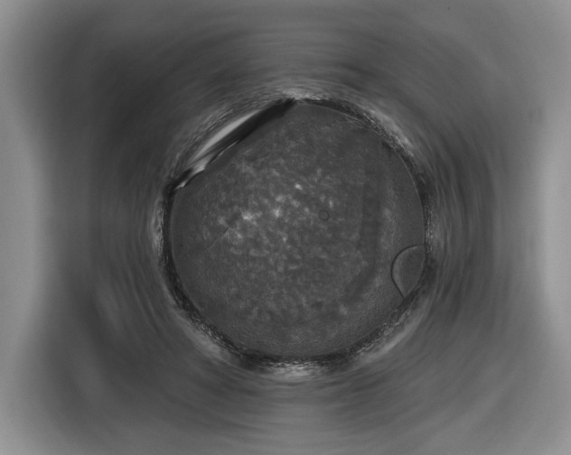 X0000116430402200912151022