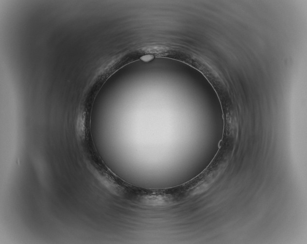 X0000116430404200912151022