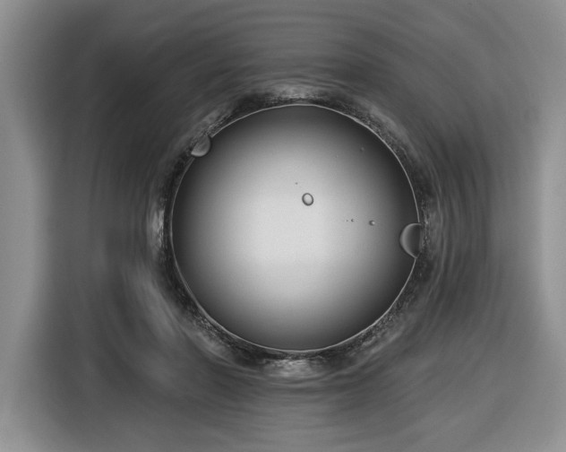 X0000116430406200912151022