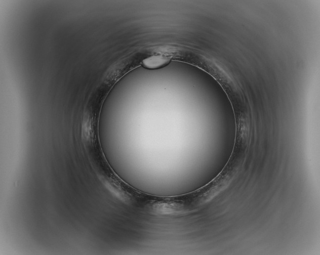 X0000116430408200912151022