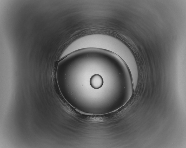 X0000116430409200912151022