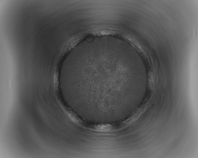 X0000116430410200912151022