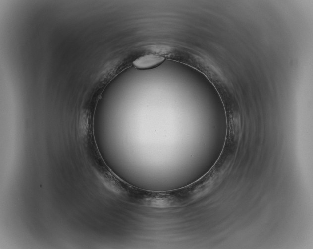 X0000116430412200912151022