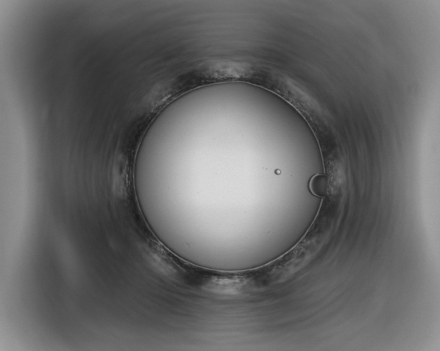 X0000116430414200912151022