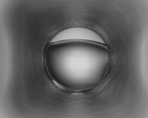 X0000116430415200912151022