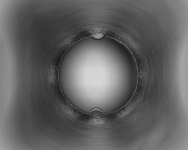 X0000116430416200912151022