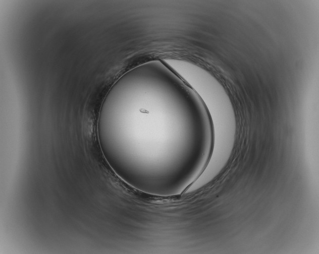 X0000116430417200912151022