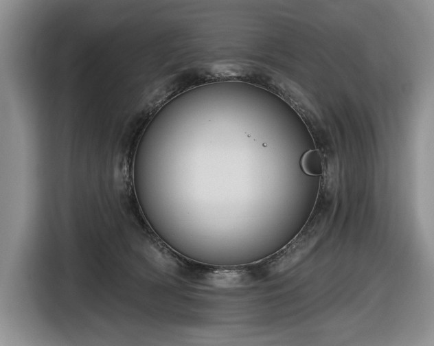 X0000116430418200912151022