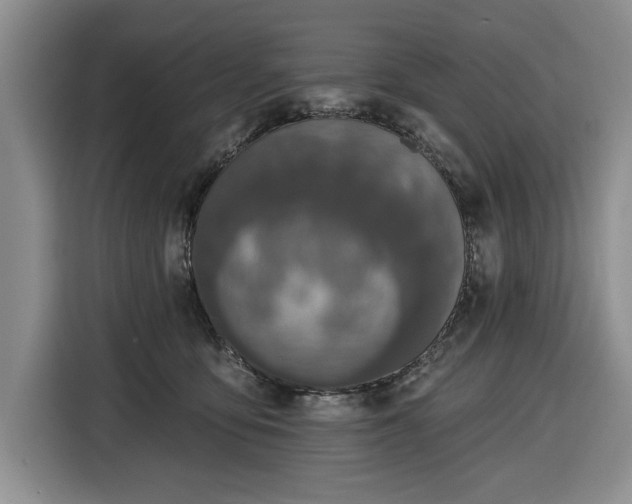 X0000116430419200912151022