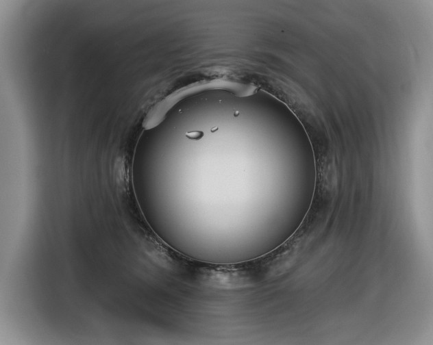 X0000116430420200912151022