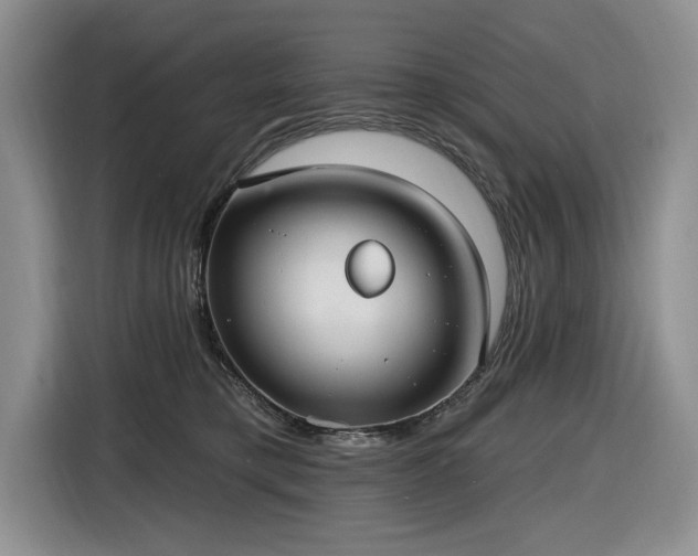 X0000116430421200912151022