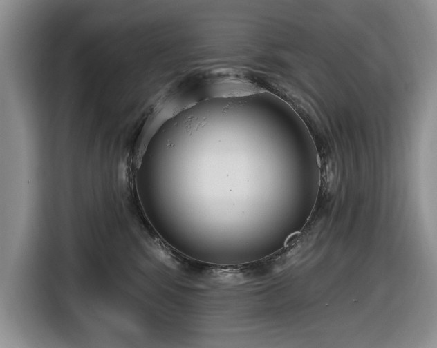 X0000116430424200912151022
