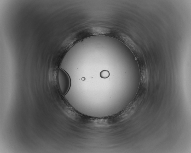 X0000116430426200912151022