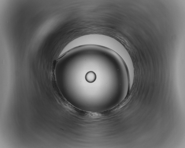 X0000116430429200912151022