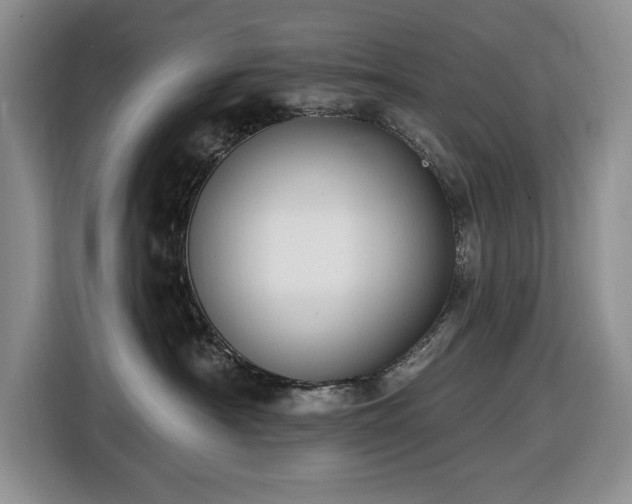 X0000116430430200912151022