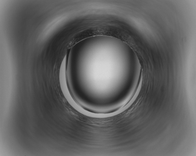 X0000116430431200912151022