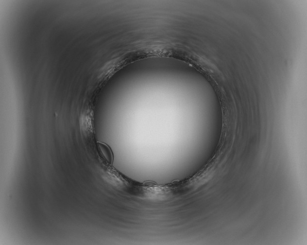 X0000116430432200912151022