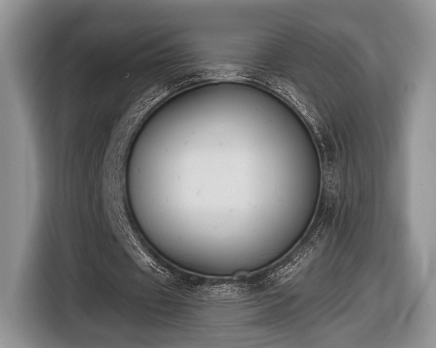 X0000116430433200912151021