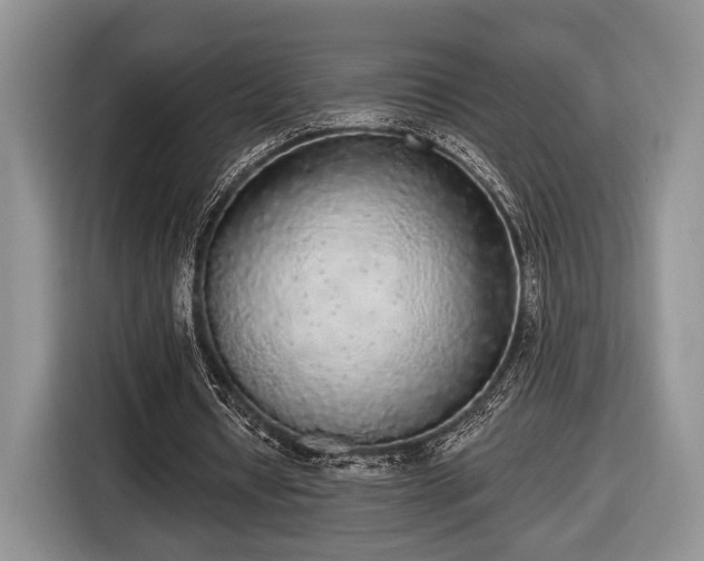 X0000116430434200912151021