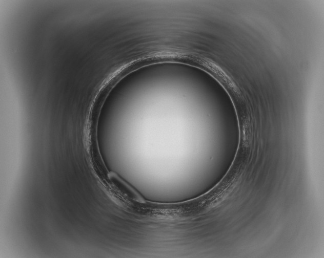 X0000116430436200912151021