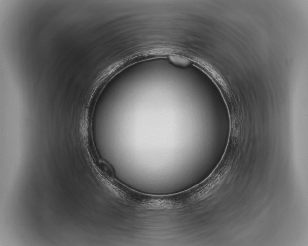 X0000116430437200912151021