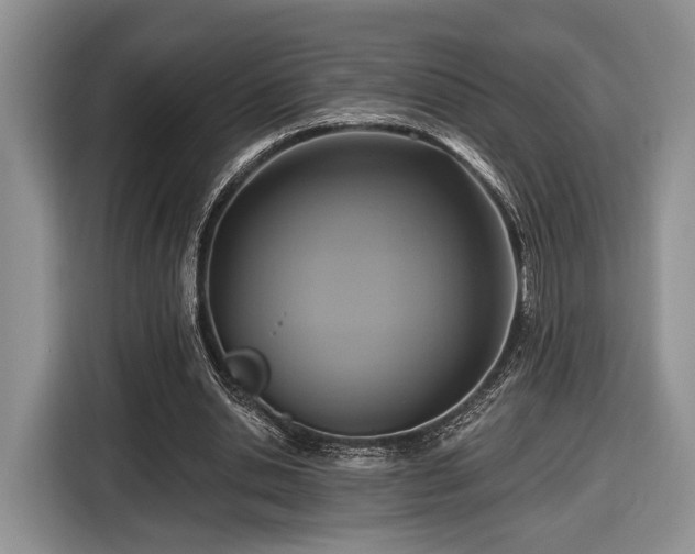X0000116430438200912151021