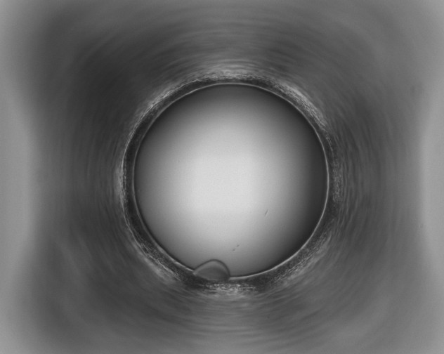 X0000116430439200912151021