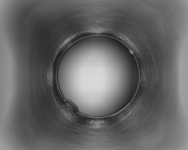 X0000116430440200912151021