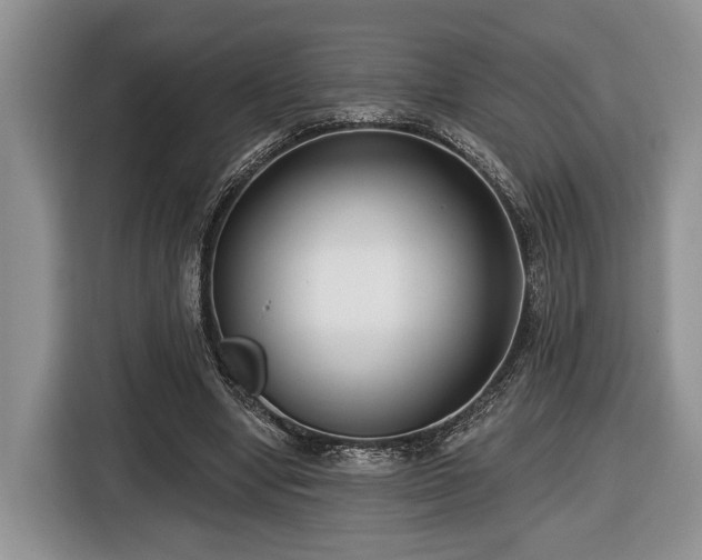 X0000116430442200912151021
