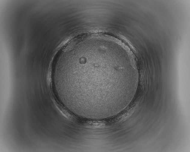 X0000116430443200912151021