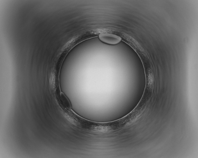 X0000116430444200912151021