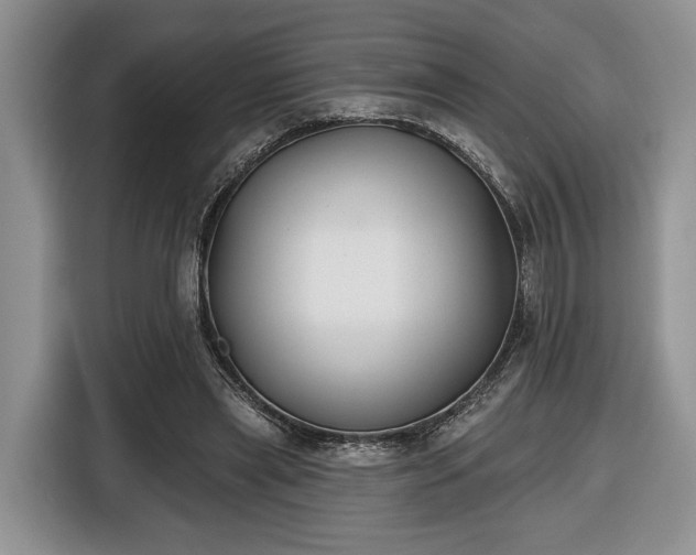 X0000116430445200912151021