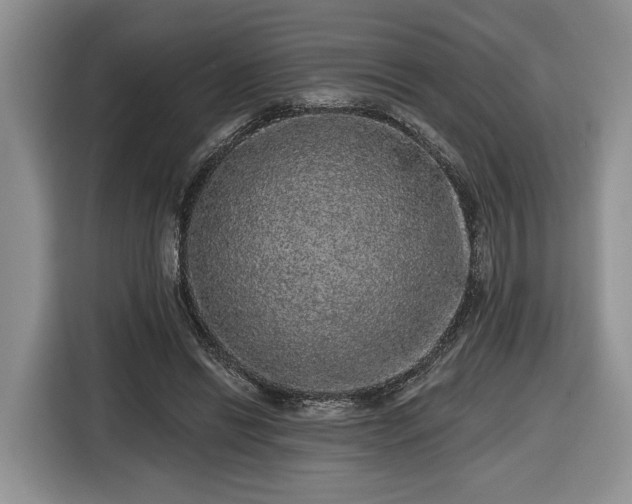 X0000116430446200912151021