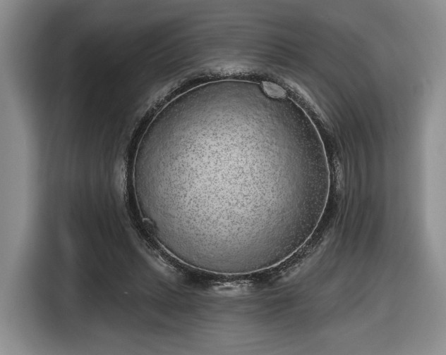 X0000116430447200912151021