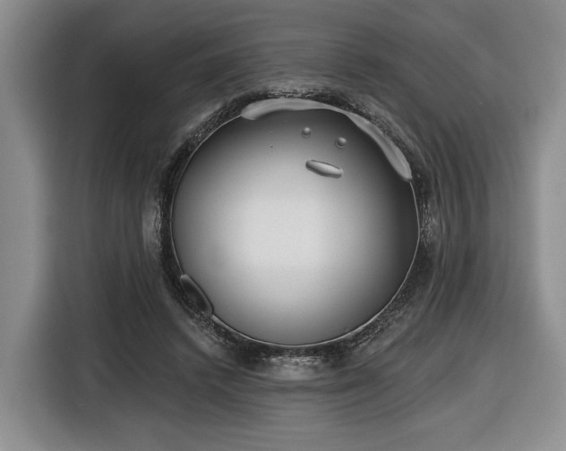 X0000116430448200912151021