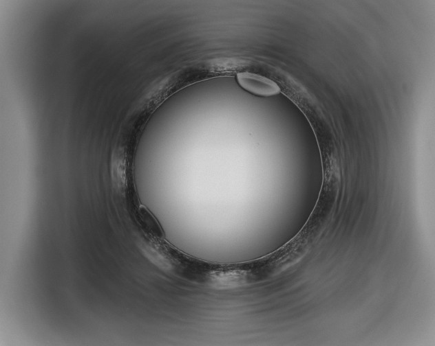 X0000116430452200912151021