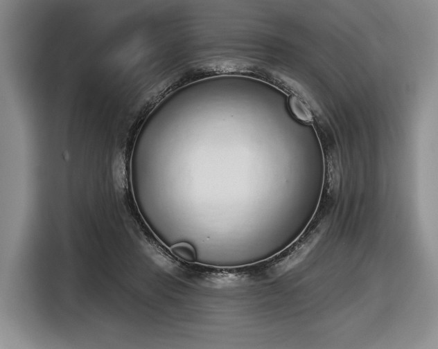 X0000116430453200912151021